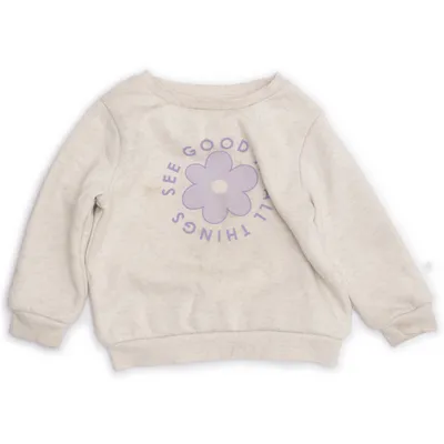 Sweatshirt (Beige, Purple) from Brilliant Basics Cotton, Elastane, Recycled polyester