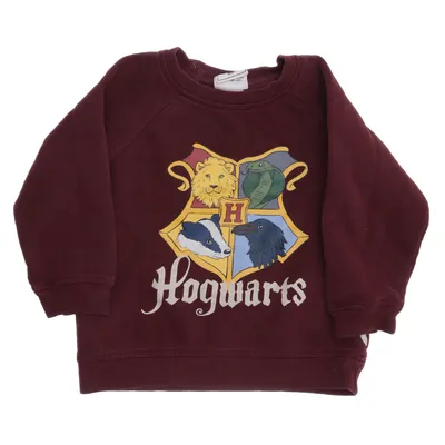 Collegetröja (Lila, Gul) från Harry Potter x H&M