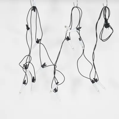 Ljusslinga (Svart, Vit)