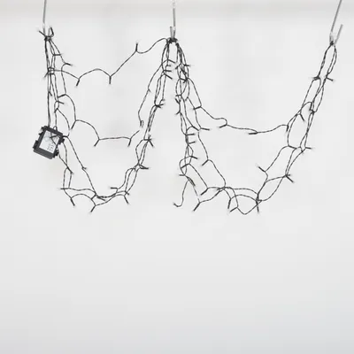 Ljusslinga (35997) från Havsö