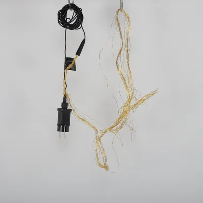 Ljusslinga från Havsö