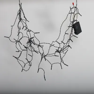 String lights (Black) from Bright