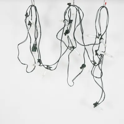 String lights (Black) from Xing Xing
