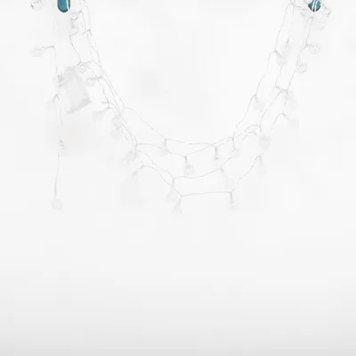 Ljusslinga (35753) från Havsö