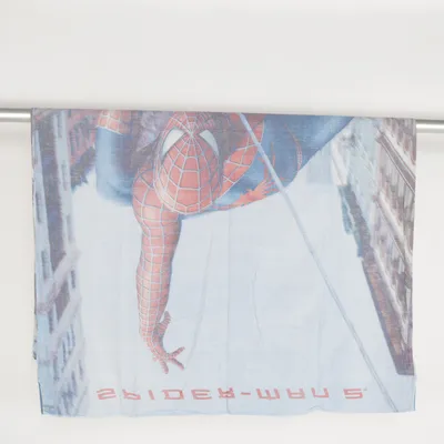 Bettwäsche (Blau, Rot, Mehrfarbig) von Marvel Spiderman Baumwolle