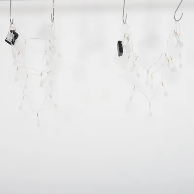 Ljusslinga (35999) från Havsö