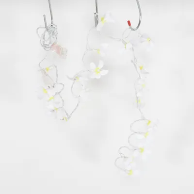 String lights (White, Yellow)