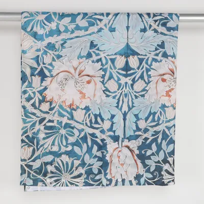 Shower curtain (Blue, Beige)