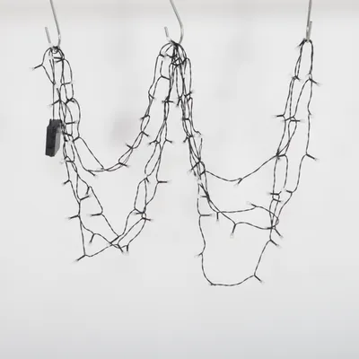 Ljusslinga (35648) från Havsö