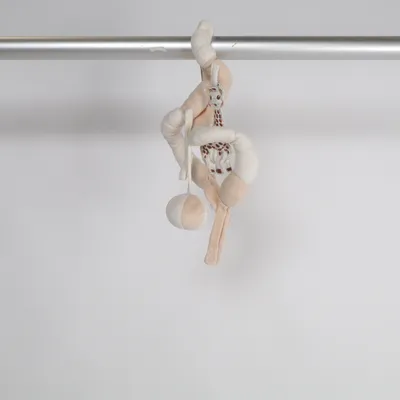 Baby toy (Beige, Brown, White) from Vulli