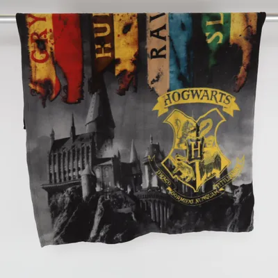 Filt (Svart, Blå, Gul, Flerfärgad) från Harry Potter Polyester