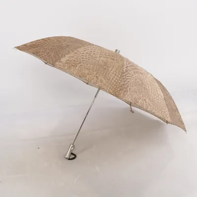 Parapluie (Marron) de Doppler