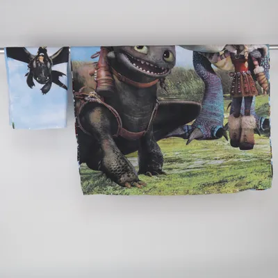 Dekbedset (Blauw, Meerkleurig) van DreamWorks Dragons