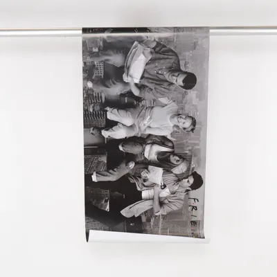 Plakat fra Friends