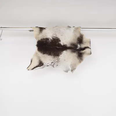 Cowhide rug (Brown, White, Beige)