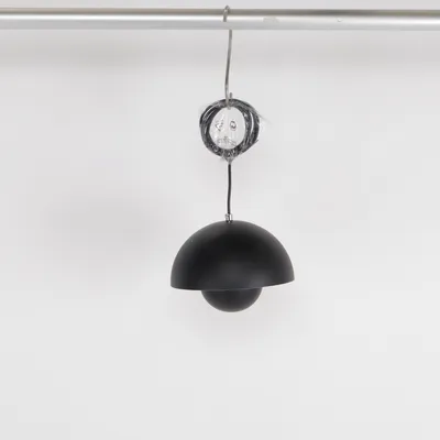Plafondlicht (Zwart)