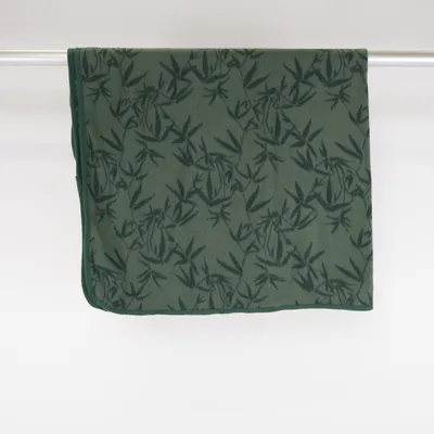 Blanket (Green) Polyester