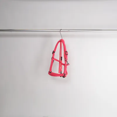 Halter (Warmblut) from Eskadron