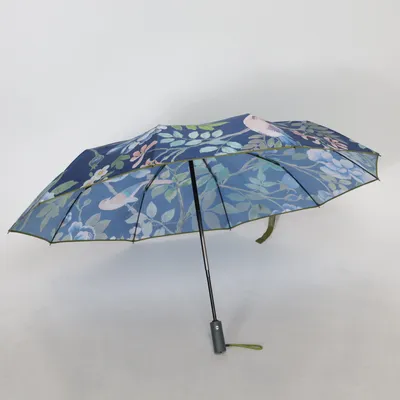 Parapluie (Bleu, Multicolore) de Designers Guild