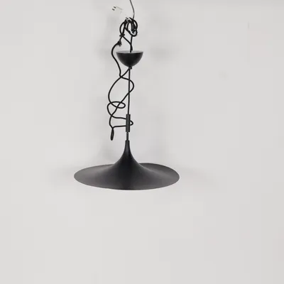 Plafondlicht (Zwart)