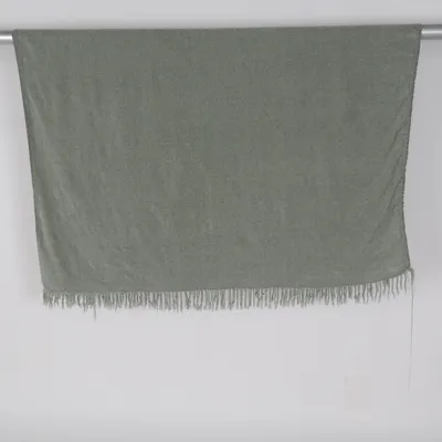 Blanket (Green) from Zara Home