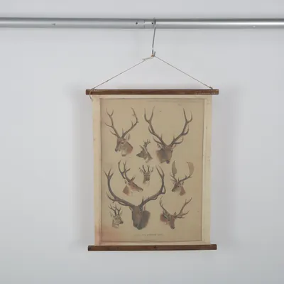 Väggbonad (Beige)