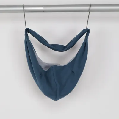 Dog bag (Blue)