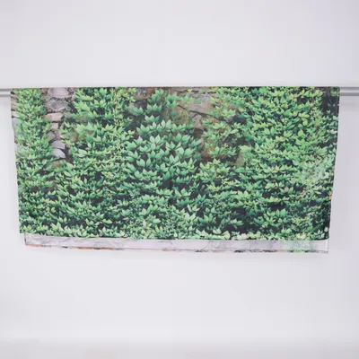 Shower curtain (Green, Brown, Multicolored)