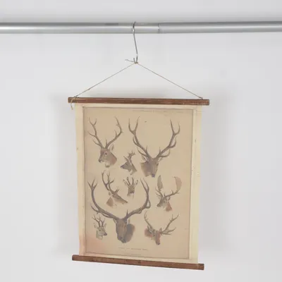 Tapisserie (Beige)