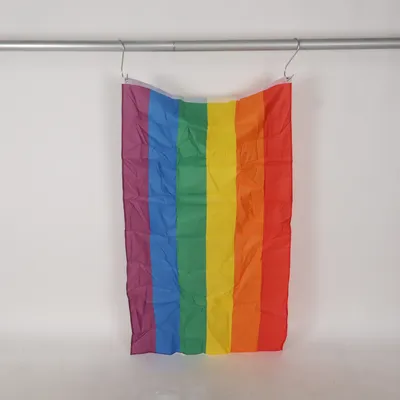 Vlag (Meerkleurig)