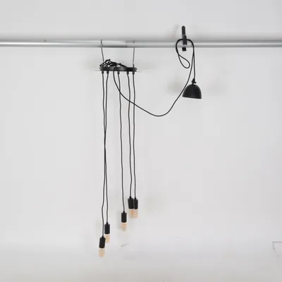 Plafondlicht (Zwart)