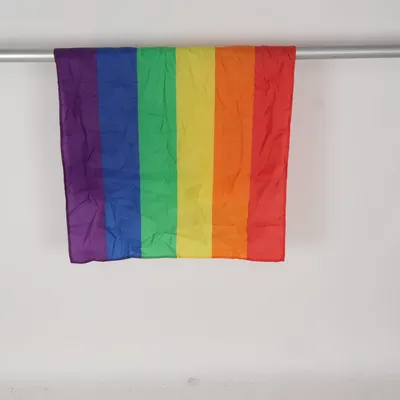 Vlag (Meerkleurig)
