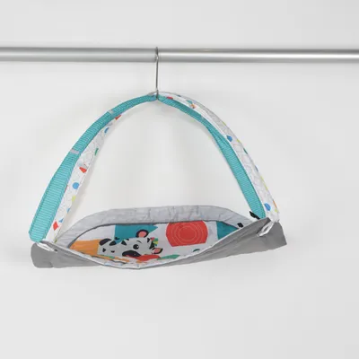 Babygym (Flerfärgad) från Baby Einstein