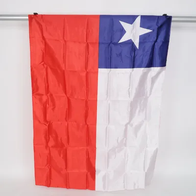 Vlag (Meerkleurig)