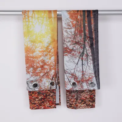 Öljettgardin (Orange, Flerfärgad) från BPC Bonprix Collection Polyester