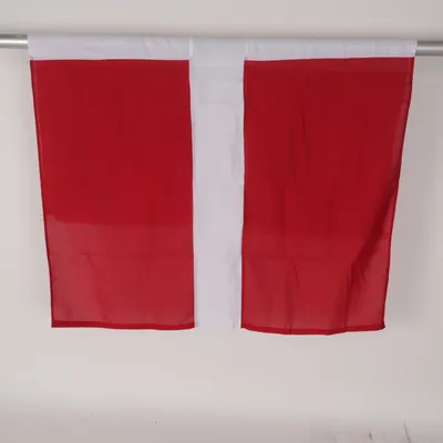 Flagga (Dannebrog) Polyester