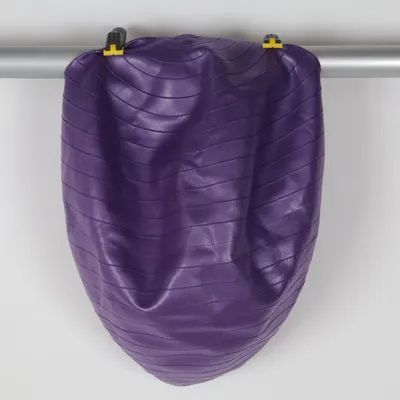 Pilates ball (Purple) from Master