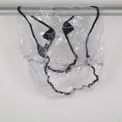Regnslag til klapvogn (Transparent, Sort) fra Bugaboo