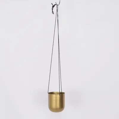 Plant hanger (Goud)