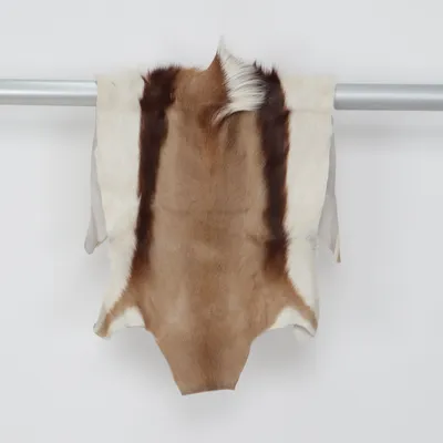 Sheepskin (White, Beige)