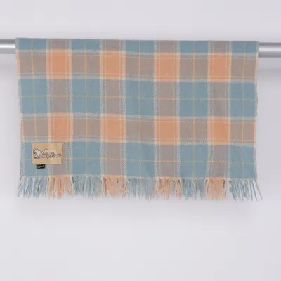Plaid (Multicolored) from Reine Schurwolle