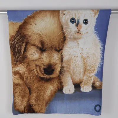 Blanket (Blue, Multicolored) Polyester