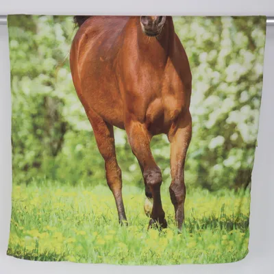 Påslakan (Grön, Blå, Brun, Vit) från NKD Polyester