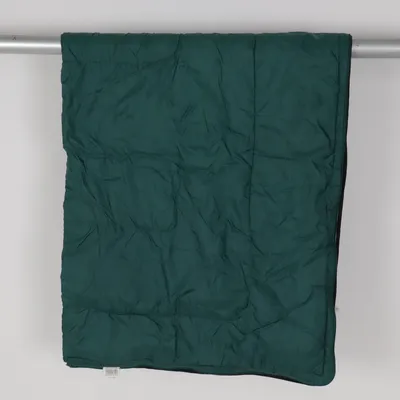 Sleeping bag (Green) from Traveler Nylon, Polyester