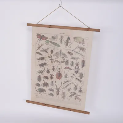 Wandkleed (Beige)