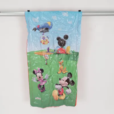 Zwembadspeelgoed (Groen, Meerkleurig) van Disney