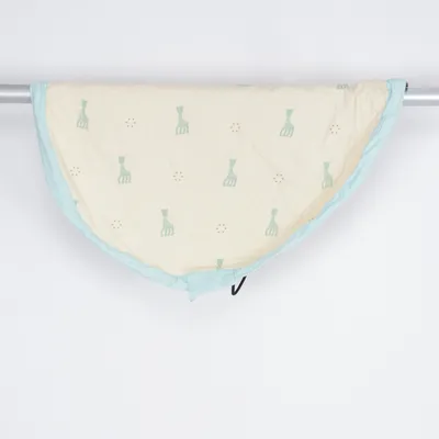 Baby gym (Blue, Green)