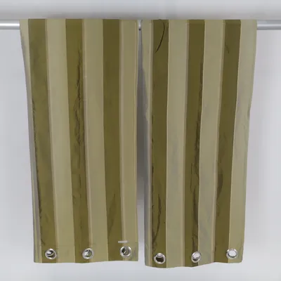 Öljettgardin (Grön, Beige)