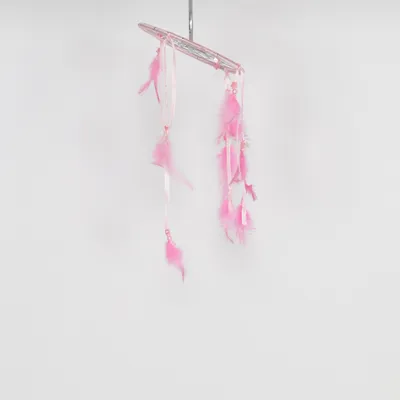Dromenvanger (Roze, Zilver)