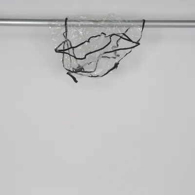 Barnvagnsskydd (Transparent) från Chicco